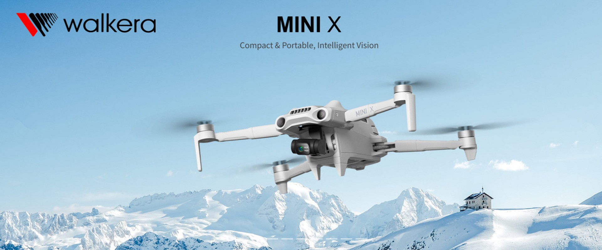 Mini X